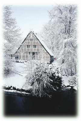 Obsthof im Winter